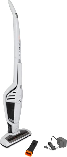 Aspirador Electrolux ERG21