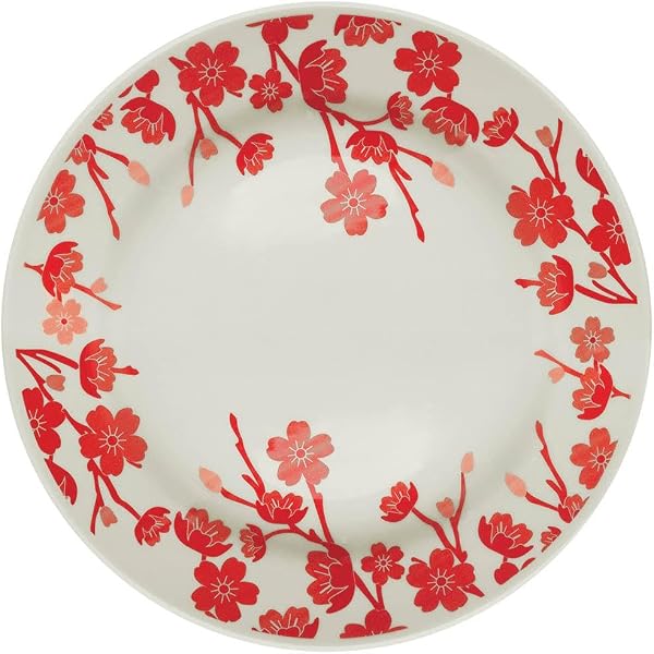 Conjunto de Pratos Rasos Biona